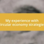 My experience with circular economy strategies