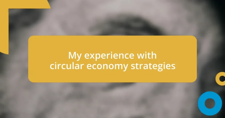 My experience with circular economy strategies