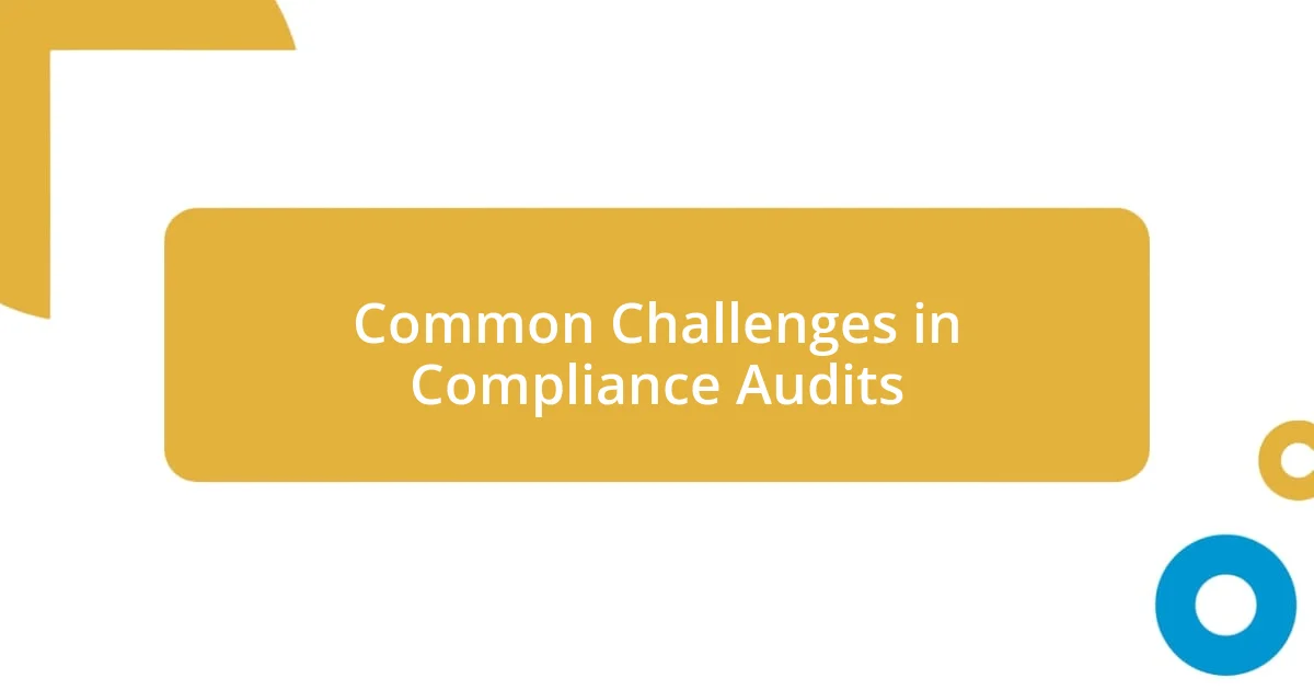 Common Challenges in Compliance Audits